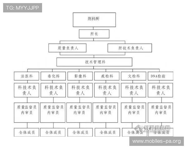 NHL进攻组织端表现获得专家高度评价与一致认可